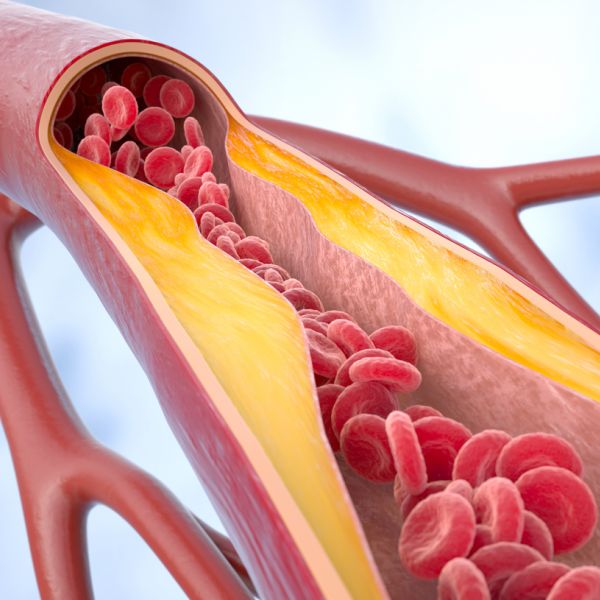 Internista-4603